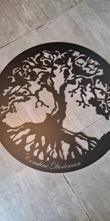 Tôle enseigne, laquage ral 9005 FT