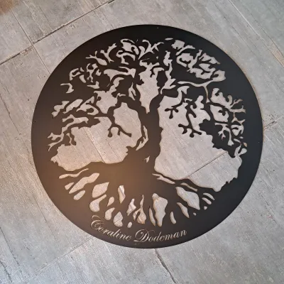 Tôle enseigne, laquage ral 9005 FT