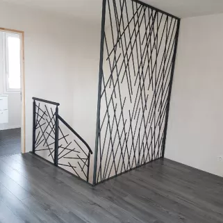 Garde corps en acier, cadre en fer plat, remplissage en lisses entremêlées, toute hauteur, ral 7016 FT. 53950 LOUVERNE.